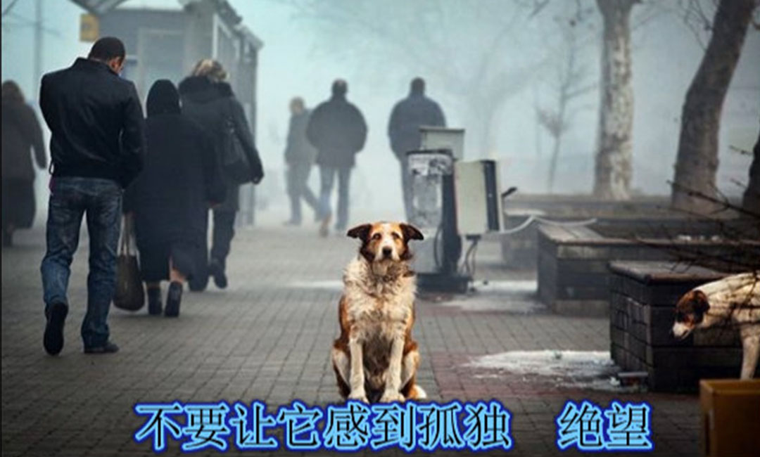 潼南潼南爱影圈微博微信转发案例